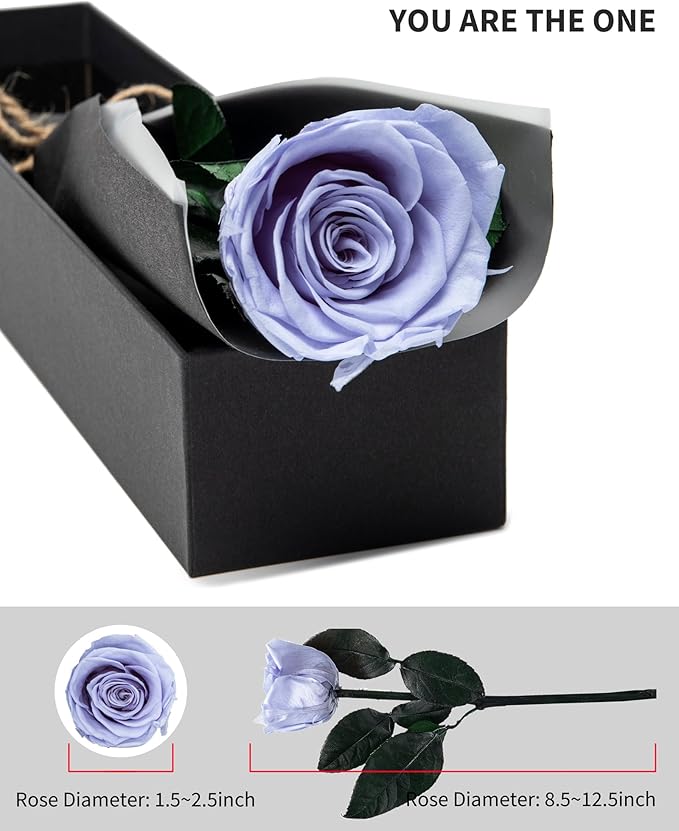 Blue Flowers for Delivery Prime, Preserved Blue Roses Flower Gifts for Women, Real Roses Single Rose Gifts for Her, Mom Birthday Gifts from Daughter, Solid Lilac Roses