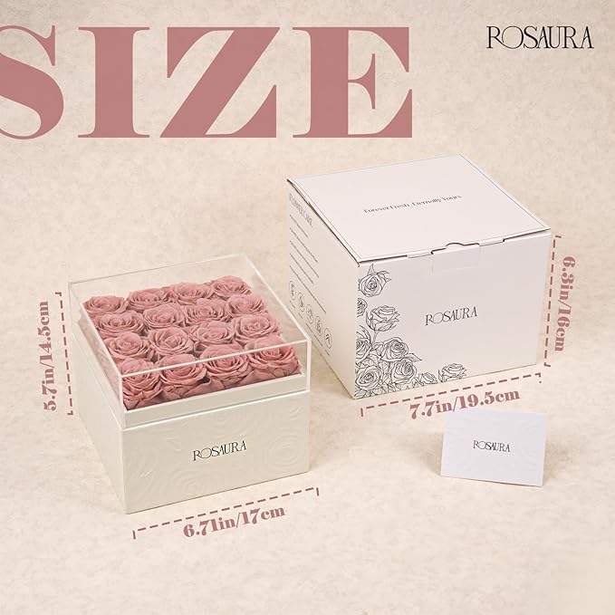 Rosaura Square Preserved Roses Gift Box - Real Forever Flowers in Clear Acrylic Lid, Valentine's for Women (Cappuccino, 16 Roses)