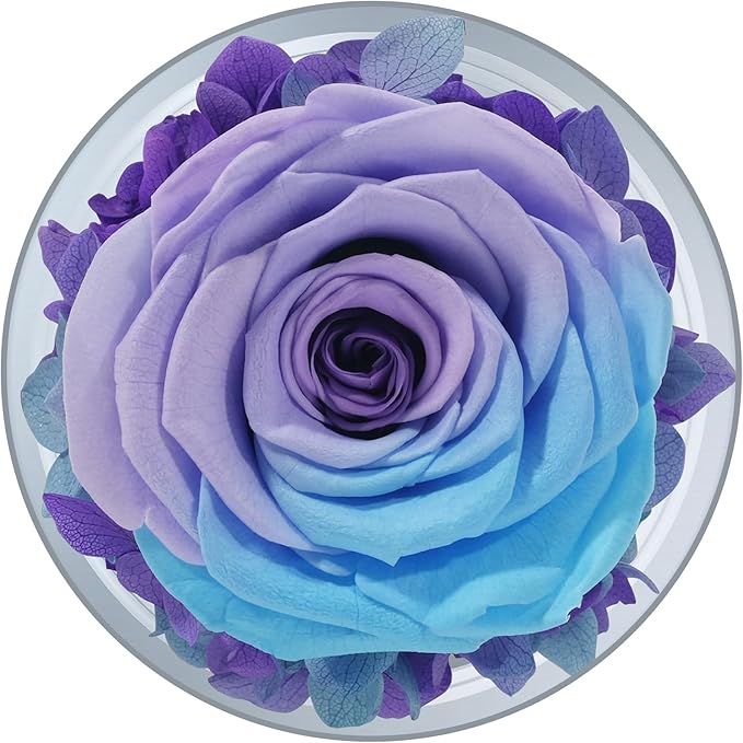 Sunia Preserved Flower Rose Gift for Women - Mother's Day Birthday Gifts for Mom Wife Grandma, Glass Angel Figurines Forever Real Roses Gifts for Her Valentine Day Thanksgiving﻿ (Blue Purple)