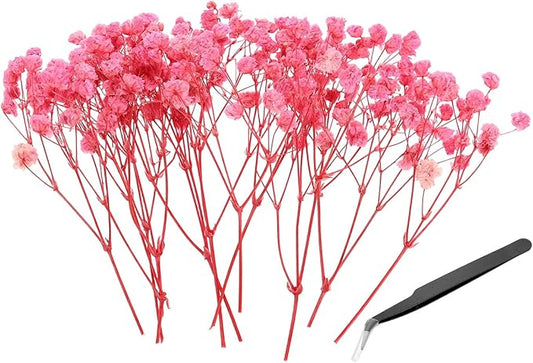 PATIKIL Mini Dried Gypsophila Flower Kit, 30Pcs 4 Inch Light Pink Natural Pressed Floral Bundles with Tweezer for DIY Resin Crafts Gift Wedding Christmas Card Decor Flower Bouquets