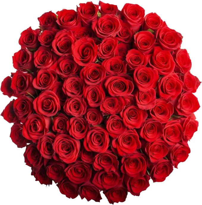 GlobalRose 100 Red Roses Bouquet - Responsibly Sourced Roses Fresh Flowers - Hand-Picked Flowers Fresh Bouquet for Mother's Day, Birthday & Special Occasions (4 Bunches of 25 Stems)