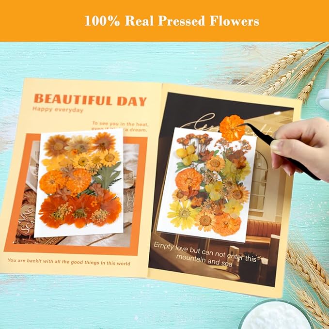60 Pieces Fall Dried Pressed Flowers Orange Natural Dry Flowers for Crafts,Resin Mold,Scrapbooking,Candle,Soap Making,Embellishment Decorations