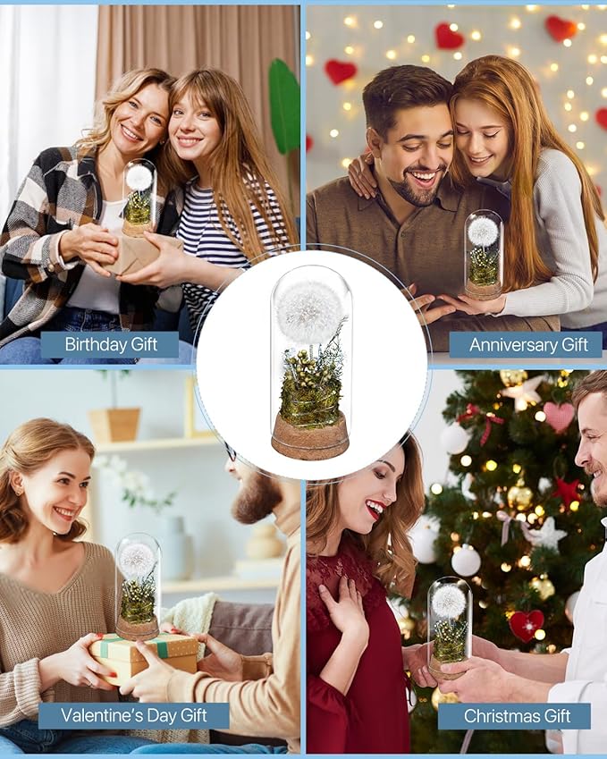 JoyFlower Preserved Dandelion in Glass Dome, Real Dandelion Eternal Flowers Gifts for Women, Preserved Flower Friendship Gifts for Girlfriend Best Friend Sisters Daughter Birthday Graduation Gift