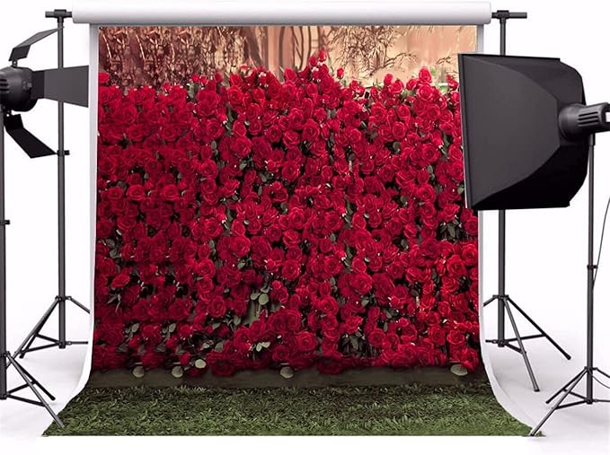 AOFOTO 6x6ft Rose Garden Backdrop Photography Background Romance Red Roses Flowers Park Wall Blurry Grass Floors Kids Toddler Girl Portrait Photo Shoot Studio Props Wedding Ceremony Video Drape Vinyl