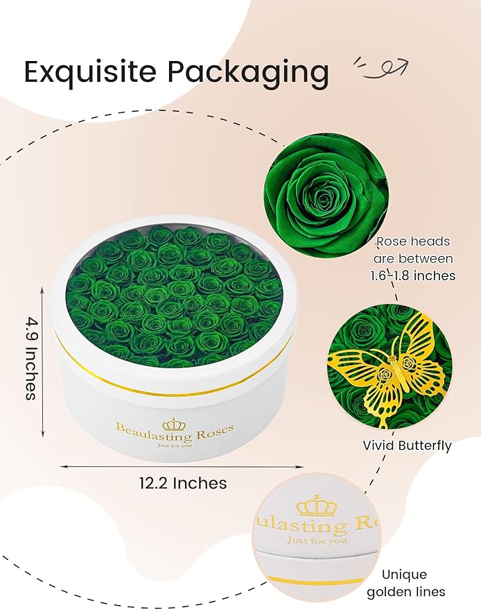 Preserved Roses Forever Flowers Real Roses in a Box Mother's Day Birthday Flowers for Her Mom Women Wife Valentine's Day, Green, 47 Piece