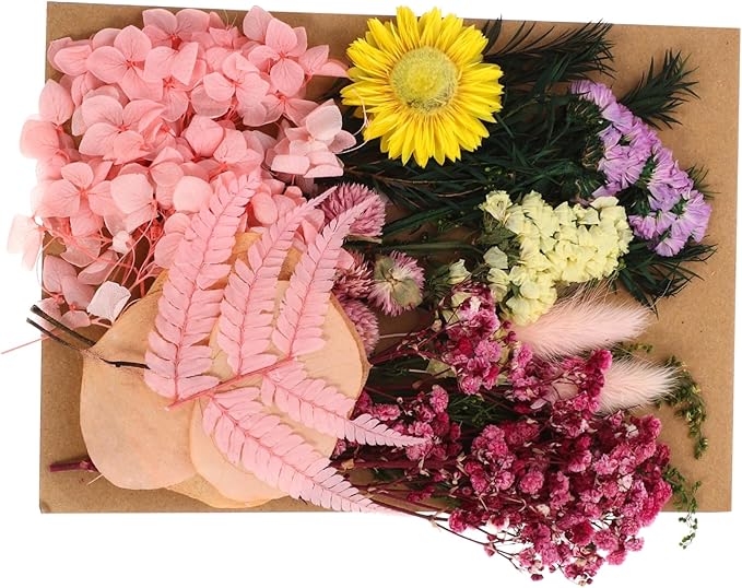 Natural Dried Flowers DIY Craft Kit Real Flower Bouquet Accessories for Photo Frame Making Floral Decorations for Wedding Home Party and Interior Styling
