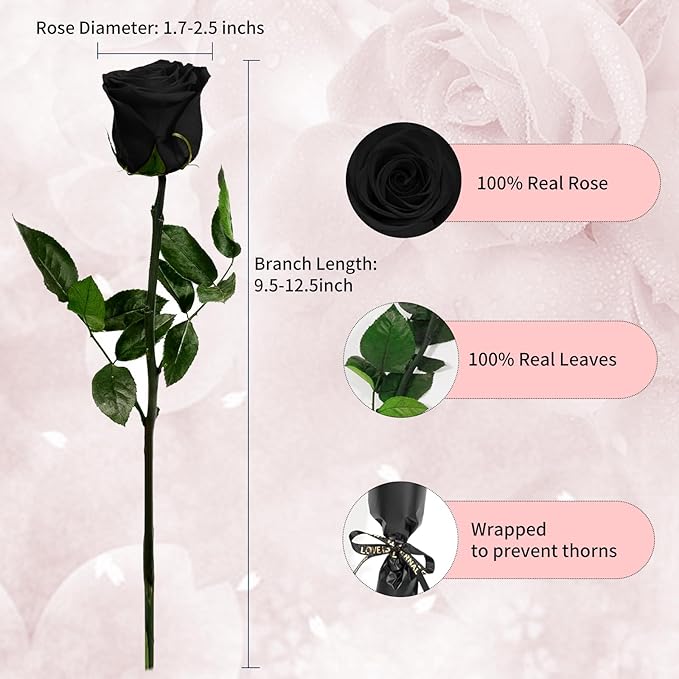 Black Single Forever Roses in a Box,Preserved Flowers for Delivery,Preserved Rose Gifts for Women, Real Roses Gift for Her, Mom Birthday Gifts, Mothers Day Flowers,Valentines Flowers