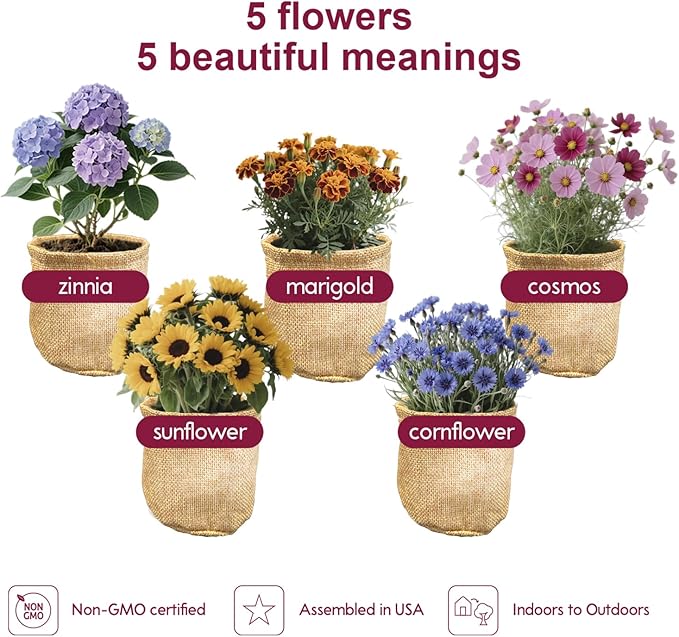 Herbsy 5 Indoor Flower Growing Kit, Complete Planting Starter Set with Sunflower, Zinnia, Marigold, Cosmos, Cornflower Seeds, Unique Birthday and Christmas Gifts for Women, Men, Plant Lovers