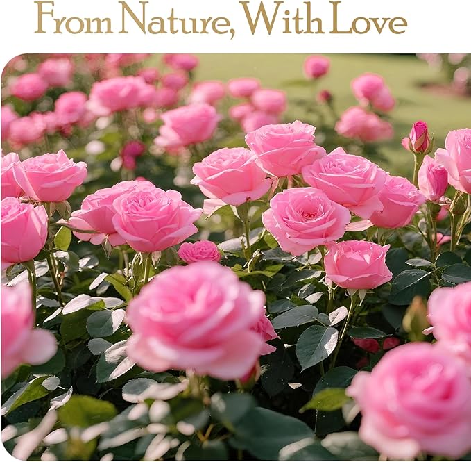 27 Preserved Flowers Rose Birthday Gifts for Women Her Mom Wife Girlfriend Grandma on Valentines Mothers Day Christmas Anniversary Romantic(Pink)