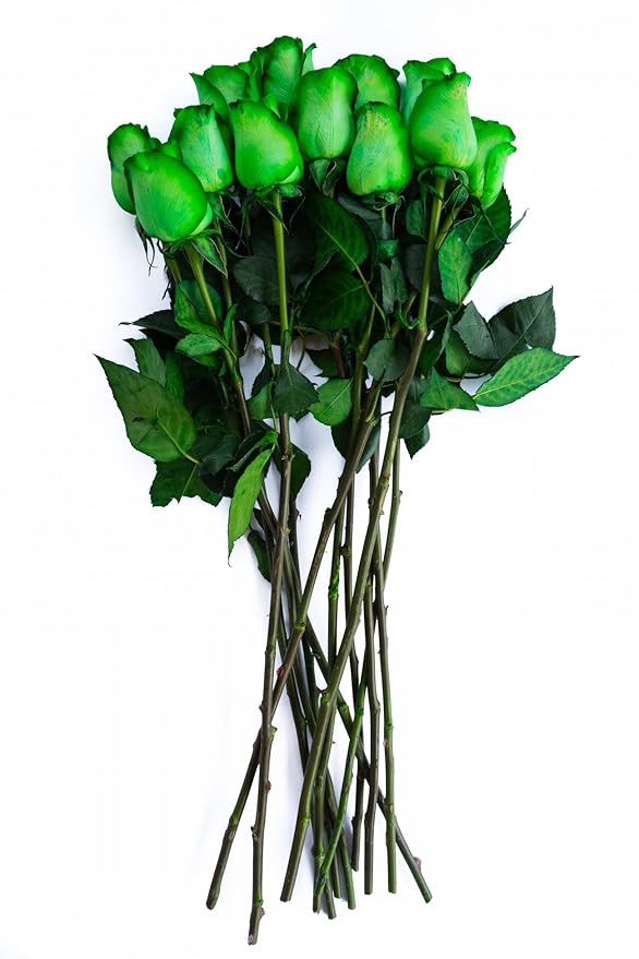 12 Stems - Fresh Cut Tinted Green Roses from Flower Explosion