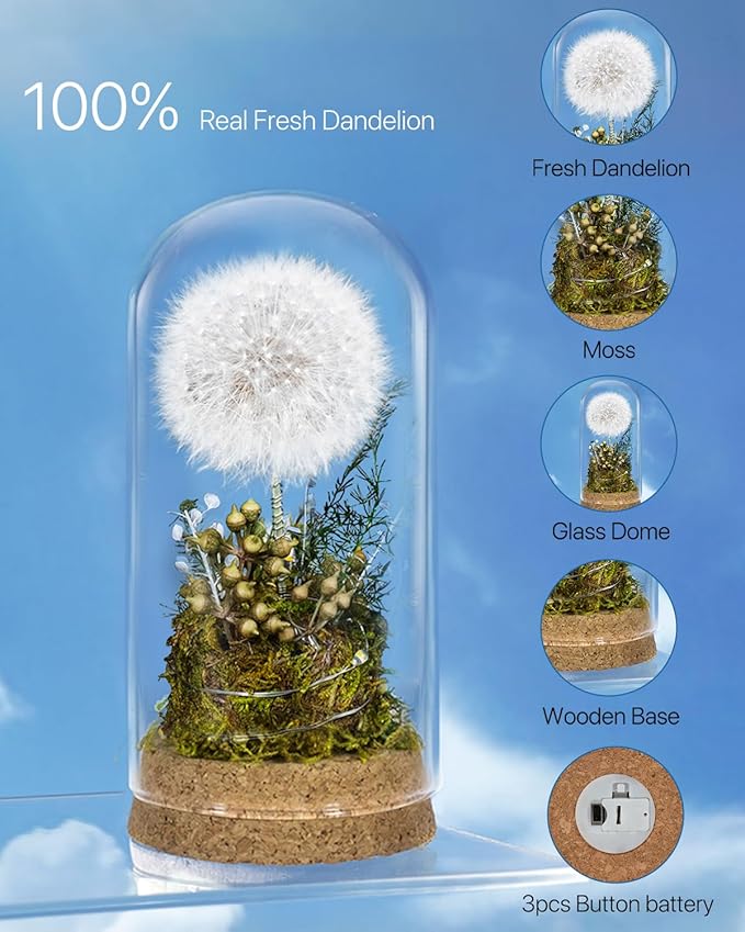 JoyFlower Preserved Dandelion in Glass Dome, Real Dandelion Eternal Flowers Gifts for Women, Preserved Flower Friendship Gifts for Girlfriend Best Friend Sisters Daughter Birthday Graduation Gift
