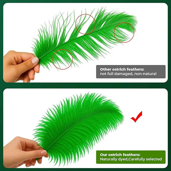 Piokio 20 pcs Natural Green Ostrich Feathers 8-10 inch(20-25 cm) Bulk for DIY Handmade Artwork and DIY Clothes, Feather Pens, Dream Catcher, Table Decoration