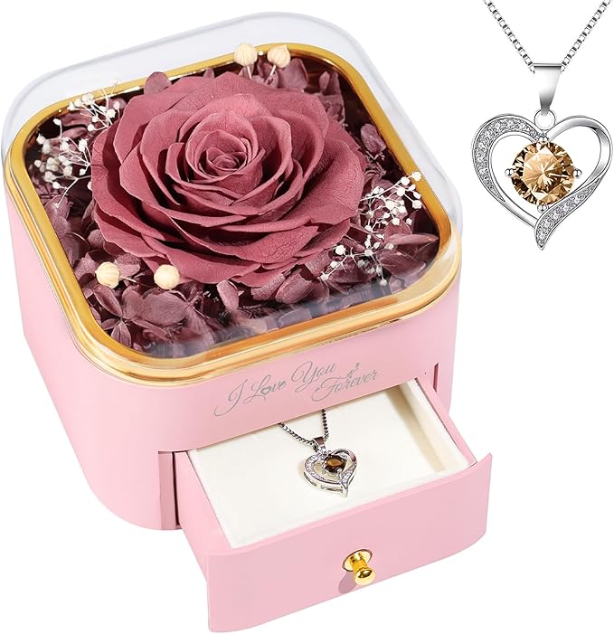 Beferr Preserved Rose with Necklace for Mom Birthday Gifts Eternal Roses Fresh Flowers for Delivery Prime Christmas Day Gifts for Her Mother Grandma Wife Sister Daughter Girl Friends