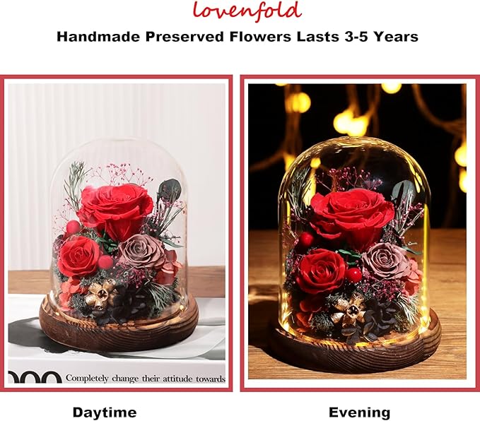 Flowers for Delivery Preserved Rose Gifts for Her,Long-Lasting Real Roses Flowers in Glass Dome,Birthday Gifts for Women Mom Wife Friend(Red Rose)