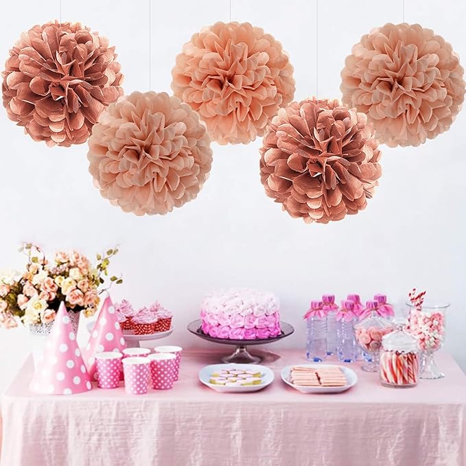 Rose Gold Paper Flowers Tissue Pom Poms Honeycomb Lanterns 15pcs Party Decorations Galentines Birthday Wedding Baby Shower Mothers Day Hanging Supplies Mprocherify