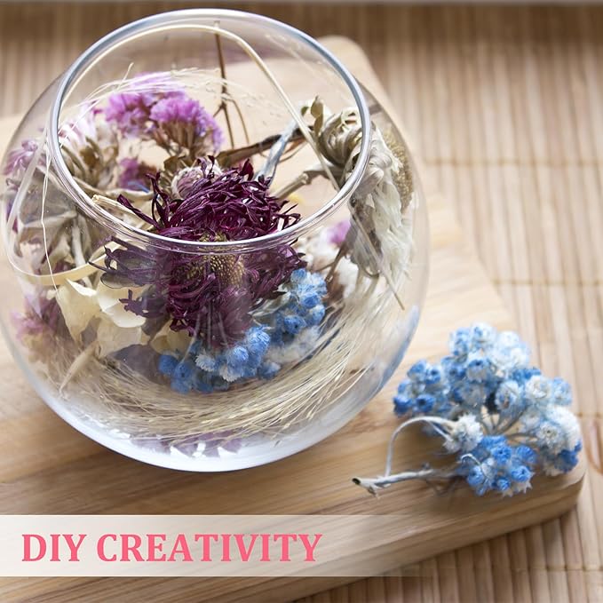 PATIKIL Mini Dried Gypsophila Flower Kit, 30Pcs 4 Inch Light Blue Natural Pressed Floral Bundles with Tweezer for DIY Resin Crafts Gift Wedding Christmas Card Decor Flower Bouquets