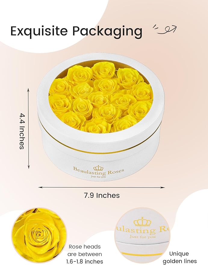 Preserved Roses Forever Flowers Real Roses in a Box Mother's Day Birthday Flowers for Her Mom Women Wife Valentine's Day, 16 Yellow Roses