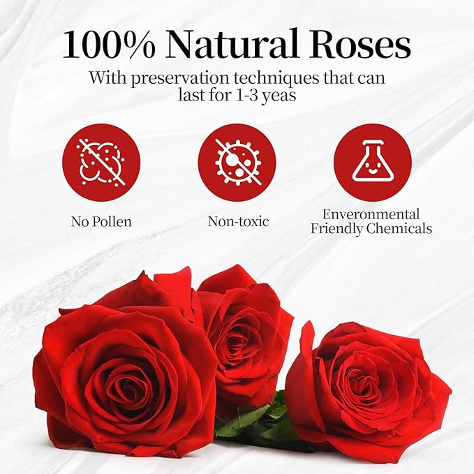 Flower, Forever Roses in A Box, Fresh Flowers, Birthday Gifts for Her, Women, Mom, Girlfriend, Wife, Grandma,Red Forever Roses