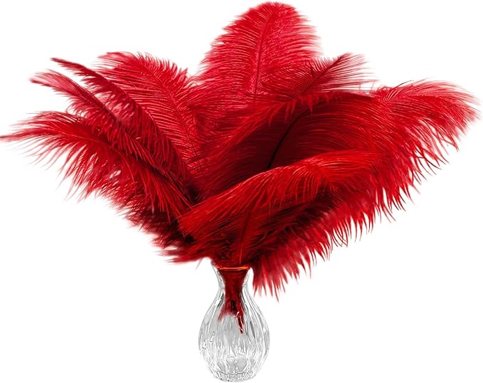 Piokio 20pcs Natural Red Ostrich Feathers 10-12 inch (25-30cm) Bulk Feathers for Wedding Party Centerpieces, Home Decoration and DIY Clothing, Gatsby Decorations