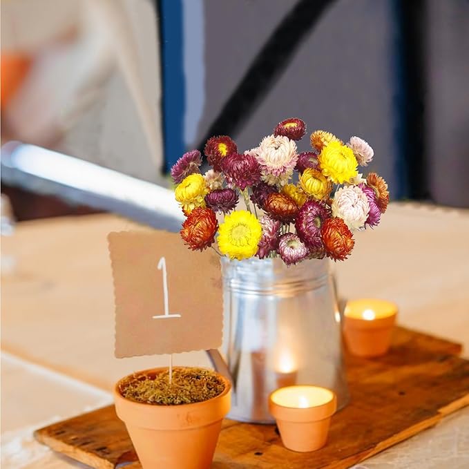 20 Pcs Natural Dried Daisy Flowers Bouquet Dried Flower Multicolor Daisies Dried Sunflowers Chrysanthemum Dry Flower with Stem for Wedding Farmhouse Table Vase Decor Home DIY Floral Arrangement