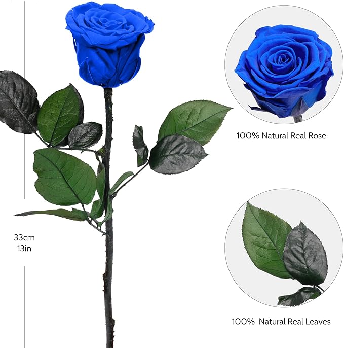 Yamonic Preserved Flowers Rose Gifts for Women Mom, Mothers Day Flowers Gifts for Mom, Real Flower Rose Birthday Gifts for Her, Grandma, Wife,Girlfriend Gifts on Christmas,Valentine's Day,Anniversary