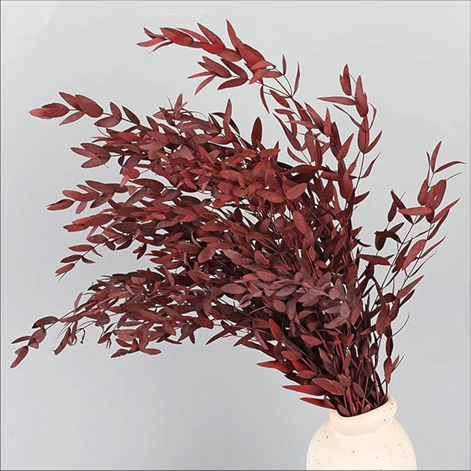 Dried Eucalyptus Leaves Preserved Greenery Stems, 8-14 PCS Eucalyptus Garland Branches, 4 OZ Red Leaves Plant Bundle for Wedding Wreath Party Home Decor Vase Filler