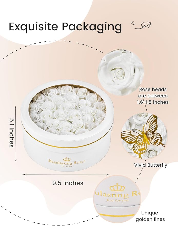 Preserved Roses Forever Flowers Real Roses in a Box Mother's Day Birthday Flowers for Her Mom Women Wife Valentine's Day, 27 White Roses