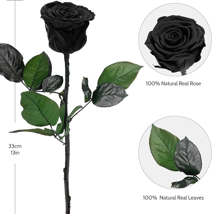 Yamonic Preserved Flowers Rose Gifts for Mom Grandma, Mom Birthday Gifts for Women, Mothers Day Real Flower Rose Gifts for Moms, Her, Wife, Girlfriend Gifts on Christmas,Valentine's Day, Anniversary