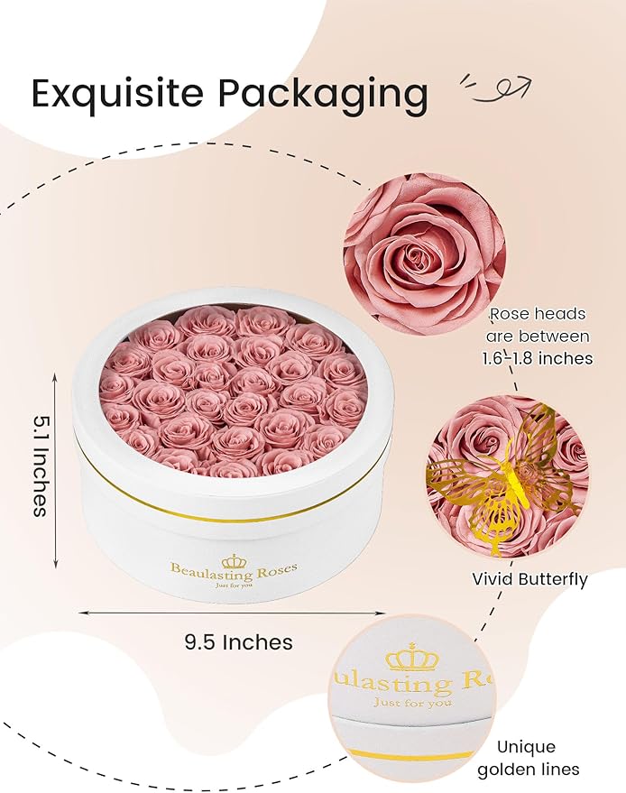 Preserved Roses Forever Flowers Real Roses in a Box Mother's Day Birthday Flowers for Her Mom Women Wife Valentine's Day, 27 Dusty Pink Roses