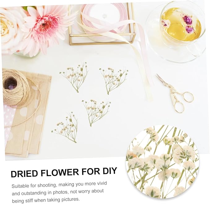 Natural Eternal Dried Flower Bouquet DIY Kit Stems S Breath Floral Adornments for Home Decor Vase Filling Rustic Wedding Decorations