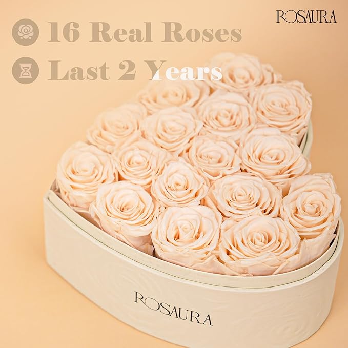 Rosaura Heart-Shaped Preserved Roses Gift Box - Real Forever Flowers for Birthday, Valentine's & Mother's Day (Champagne, 16 roses)