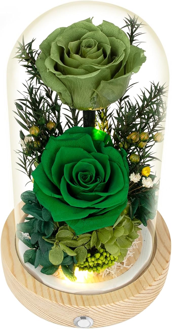 Preserved Roses & Fresh Flowers Bouquet – Gift for Women, Roses That Last Forever, Flowers for Delivery Prime, Green Roses – Birthday, Mother’s Day & Christmas