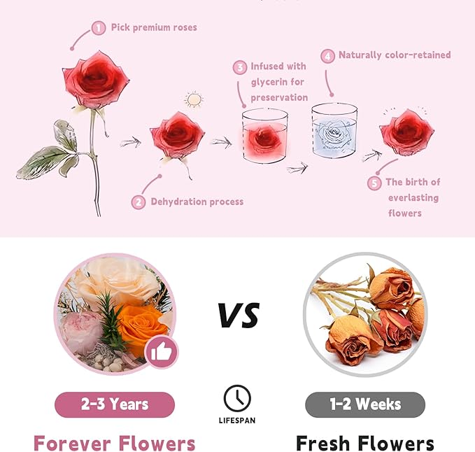 Eternal Flowers: Forever Flower Gifts for Her-Elegant Preserved Flowers in Glass Dome-Romantic Valentines, Anniversary, Mom Gifts for Her-Flowers for Delivery Prime (Champagne)
