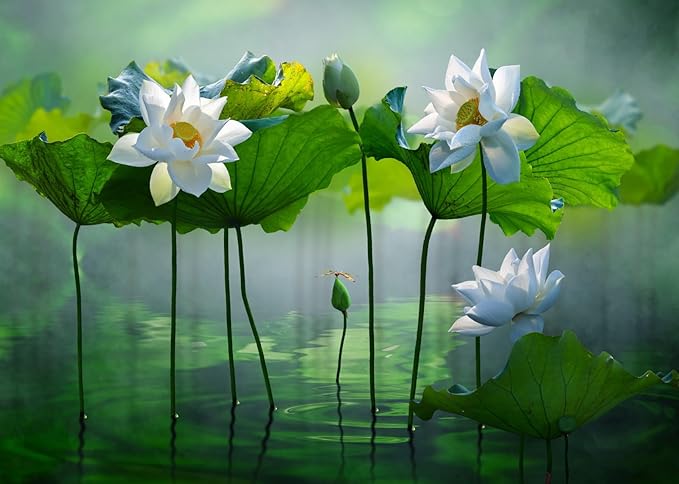 BELECO 5x3ft Fabric Lotus Flower Backdrop Lotus Garden Blooming White Lotus Flowers Pond Background Wall Decor Photo Booth Shoot Studio Props Wallpaper