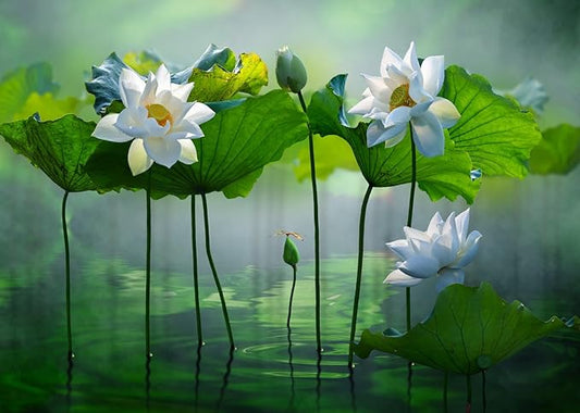 BELECO 5x4ft Fabric Lotus Flower Backdrop Lotus Garden Blooming White Lotus Flowers Pond Background Wall Decor Photo Booth Shoot Studio Props Wallpaper