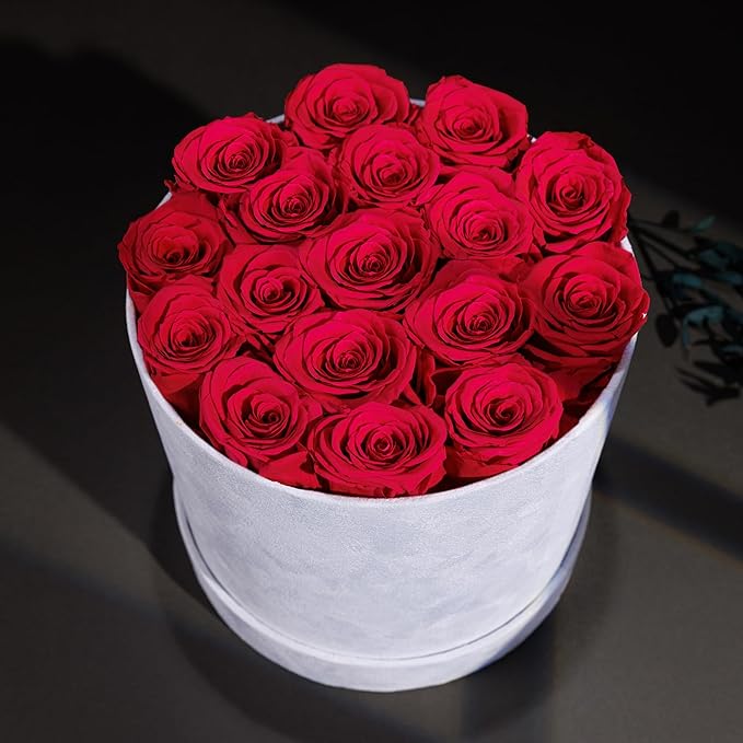 17 Flowers in a Luxury Suede Box, Birthday Gifts for Women, Preserved Flowers, Mothers Day Roses Gift for Mom, Hot Pink