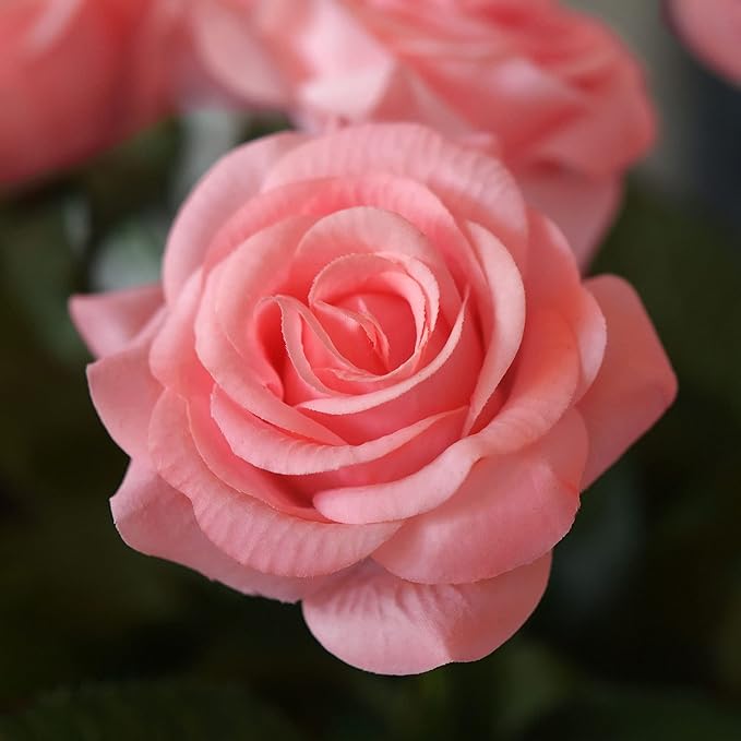 FiveSeasonStuff Fake Roses Wedding Flowers Real Touch Silk Champagne Pink Artificial Flowers 12 Stems