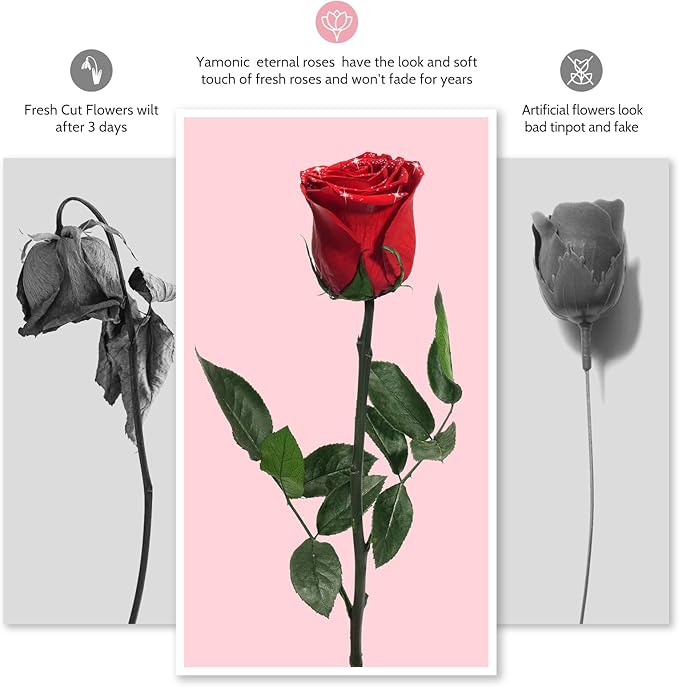 Yamonic Preserved Flower Rose Birthday Gifts for Women, Mothers Day Rose Flowers Gifts for Mom, Real Flower for Women, Grandma, Wife, Girlfriend Gifts for Christmas, Valentine's Day