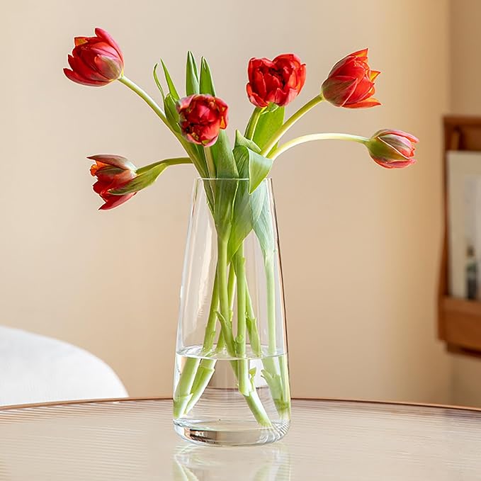 FANTESTICRYAN Modern Glass Vase Irised Crystal Clear Glass Vase for Home Office Decor (Crystal Clear)