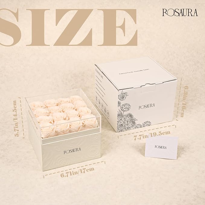Rosaura Square Preserved Roses Gift Box - Real Forever Flowers in Clear Acrylic Lid, Valentine's for Women (Champagne, 16 Roses)