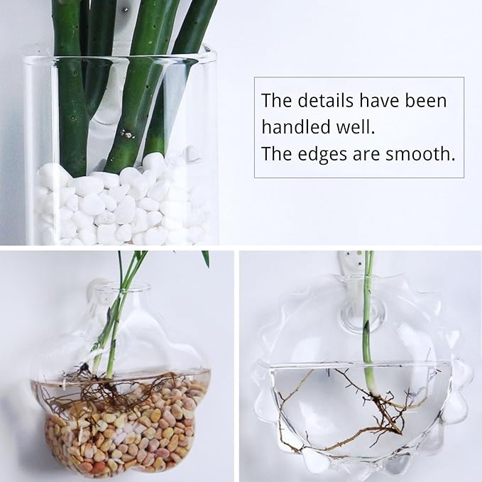 Wall-Mounted Acrylic Planter for Hydroponic Plants – Conical Vase, Modern Transparent Design for Home & Office Decoration