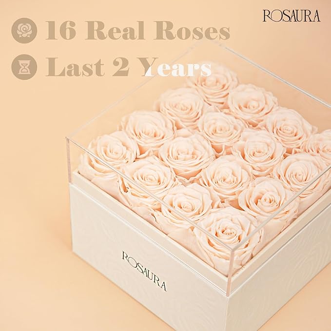 Rosaura Square Preserved Roses Gift Box - Real Forever Flowers in Clear Acrylic Lid, Valentine's for Women (Champagne, 16 Roses)
