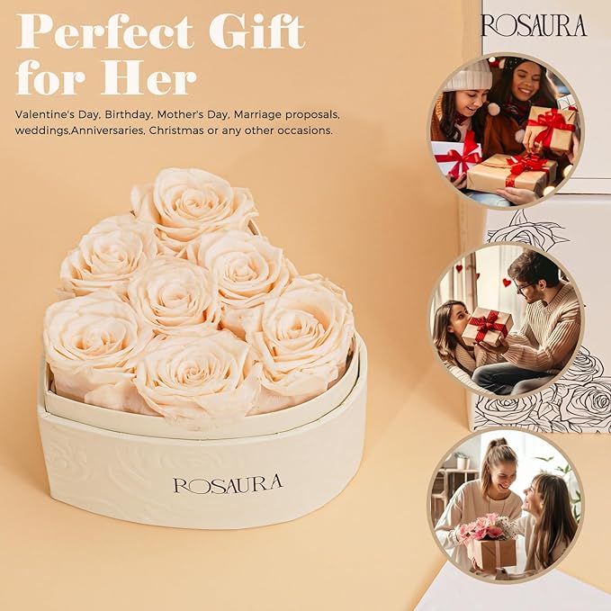 Rosaura Heart-Shaped Preserved Roses Gift Box - Real Forever Flowers for Birthday, Valentine's & Mother's Day (Champagne, 7 roses)