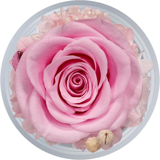Sunia Preserved Flower Rose Gift for Women - Mother's Day Birthday Gifts for Mom Wife Grandma, Glass Angel Figurines Forever Real Roses Gifts for Her Valentine Day Thanksgiving﻿ (Pink)