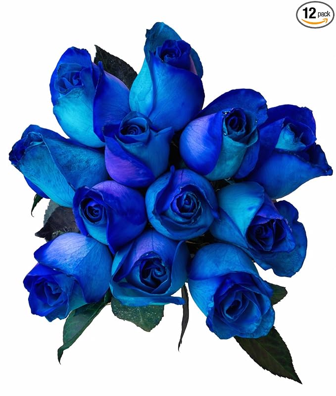 12 Stems - Fresh Cut Blue Lollipop Roses from Flower Explosion