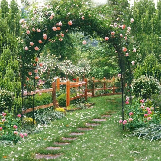 AOFOTO 6x6ft Wedding Backdrops Photography Background Romance Garden Path Beautiful Flowers Pergola Newborn Toddler Baby Child Girl Portrait Scene Photo Shoot Studio Props Video Artistic