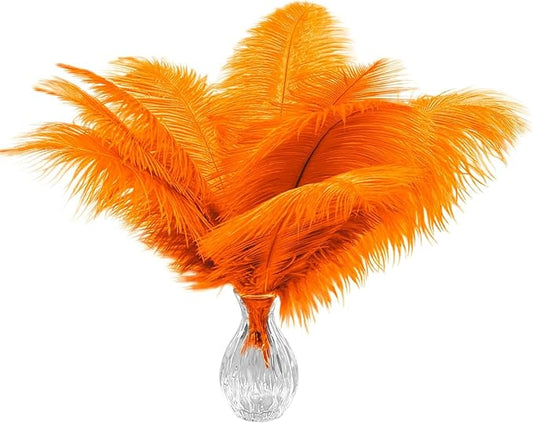 Piokio 20pcs Ostrich Feather Orange 10-12 inch (25-30cm) Bulk Feathers for Home Decoration and DIY Clothing and DIY Clothes Decoration, Gatsby Decorations