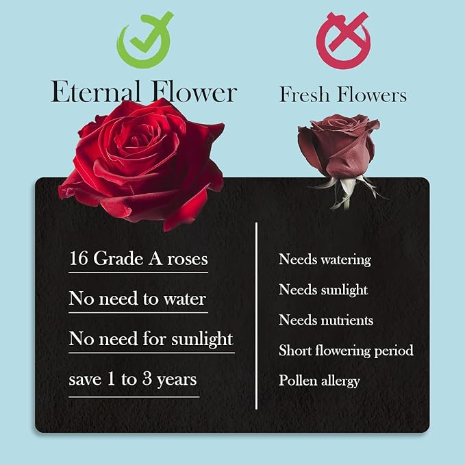27 Preserved Roses in Heart-Shaped Box, Flowers for Delivery Prime Last up 2 Years, Real Forever Flowers for Wife, Girlfriend, Mother, Eternal Roses for Anniversary - Blue