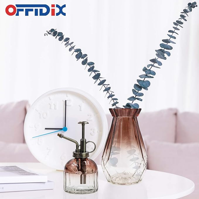 OFFIDIX Glass Watering Spray Bottle,Plant Mister Watering can Indoor with Bronze Plastic Top Pump, Glass Small Watering Can for Indoor Potted Plants Outdoor House Plant