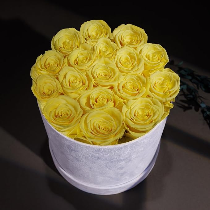 17 Flowers in a Luxury Suede Box, Birthday Gifts for Women, Preserved Flowers, Mothers Day Roses Gift for Mom, Yellow